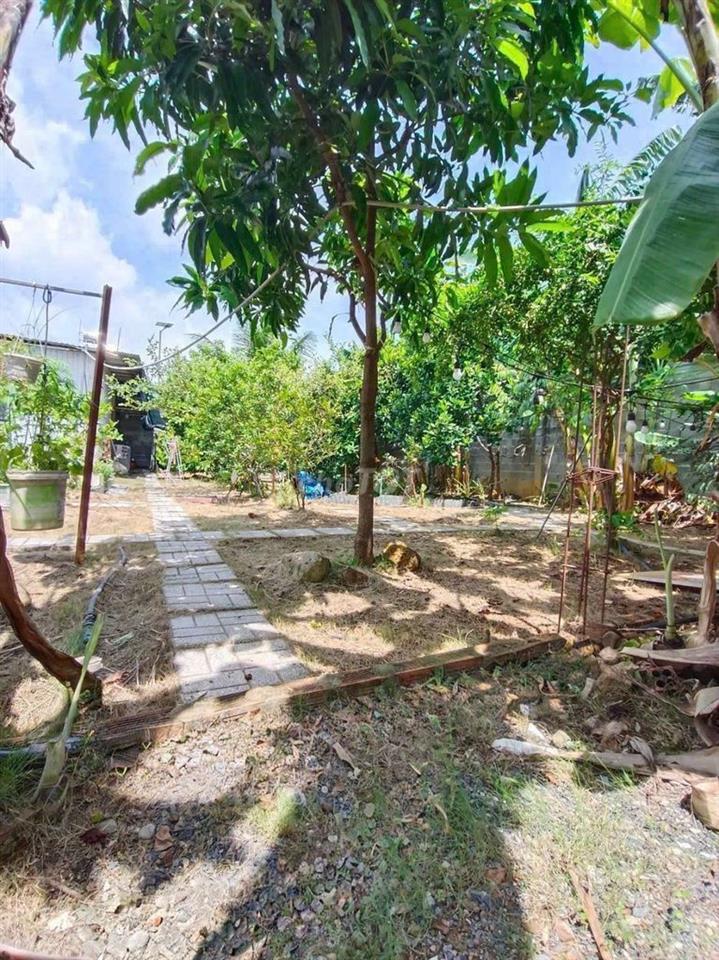 Nhà Vườn Phường Bửu Long