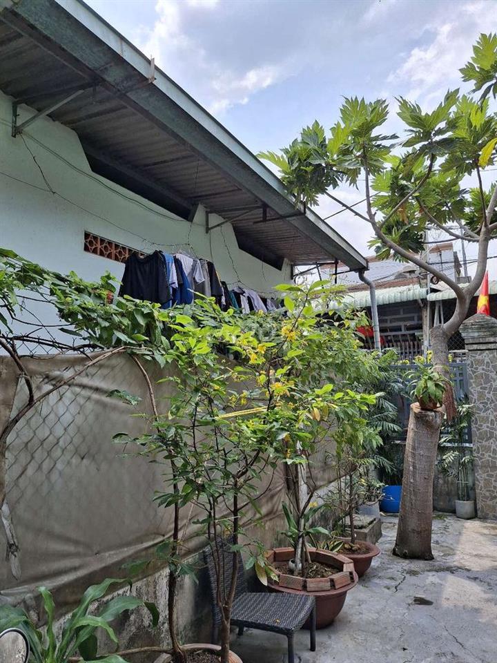 Bán dãy trọ 8 phòng dt 5x26