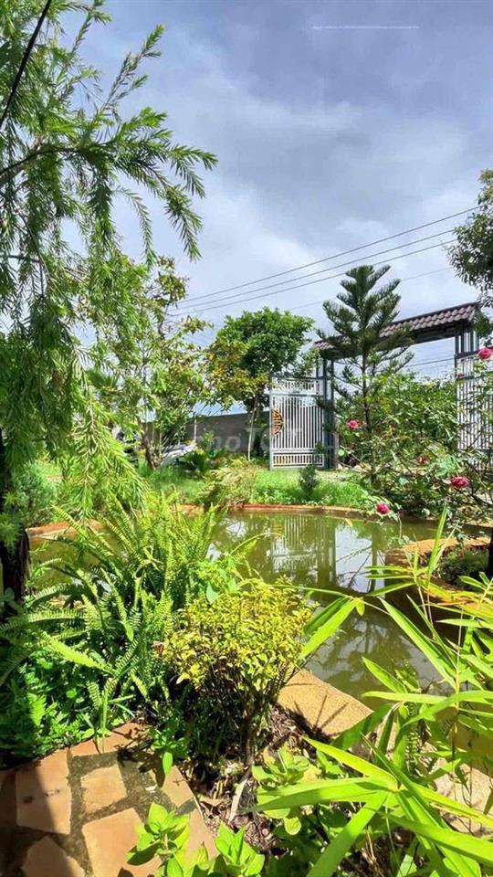 🏡 NHÀ VƯỜN ĐẸP LA NGÀ – GẦN HỒ TRỊ AN – 2 MẶT TIỀN – CHỈ 2,5TỶ