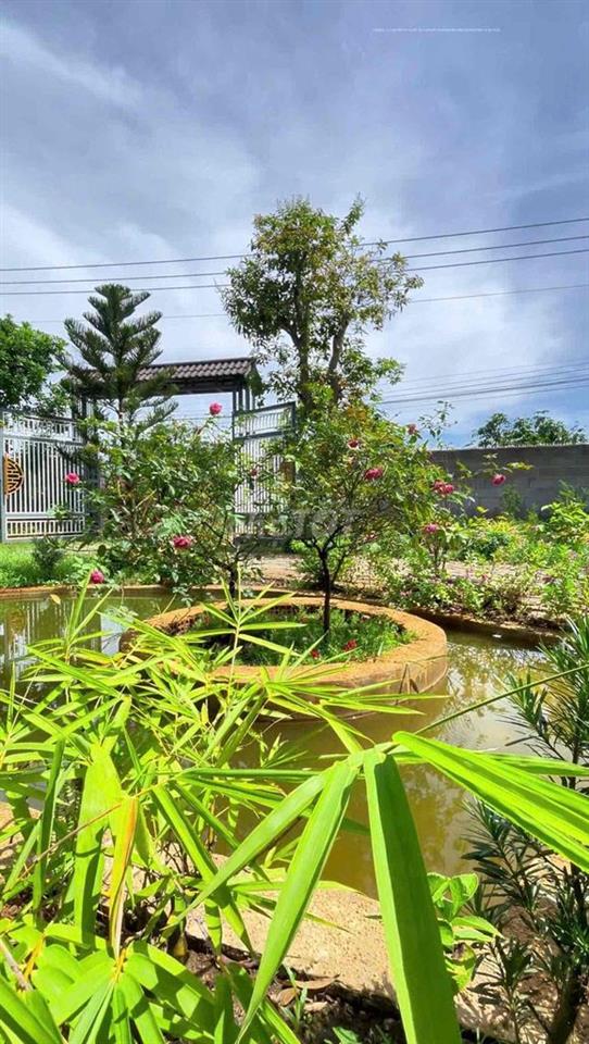 🏡 NHÀ VƯỜN ĐẸP LA NGÀ – GẦN HỒ TRỊ AN – 2 MẶT TIỀN – CHỈ 2,5TỶ