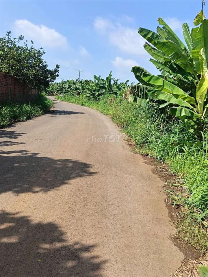 Đất sào mt đường nhựa