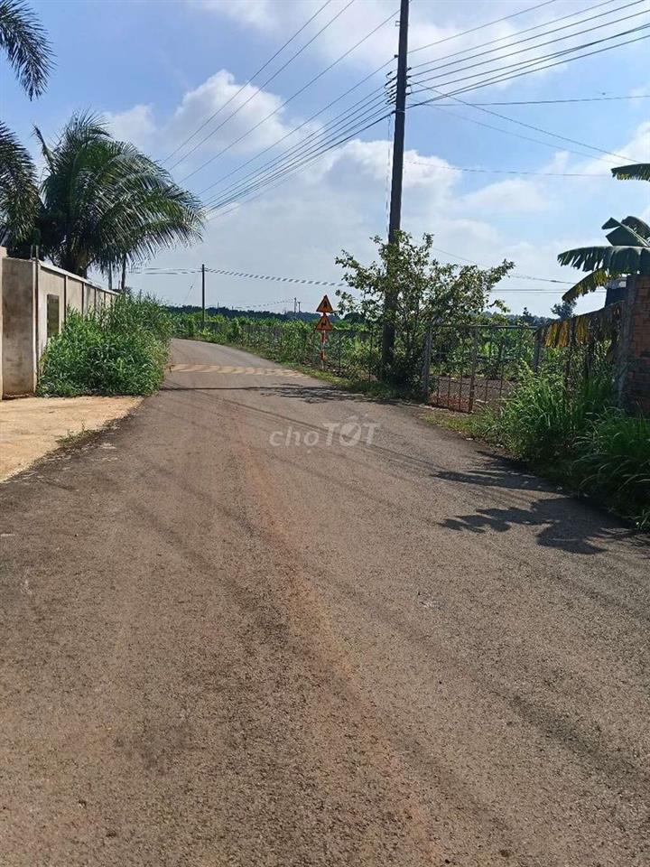 Đất sào mt đường nhựa