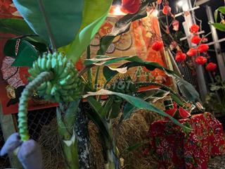 NHÀ VƯỜN NGHỈ DƯỠNG