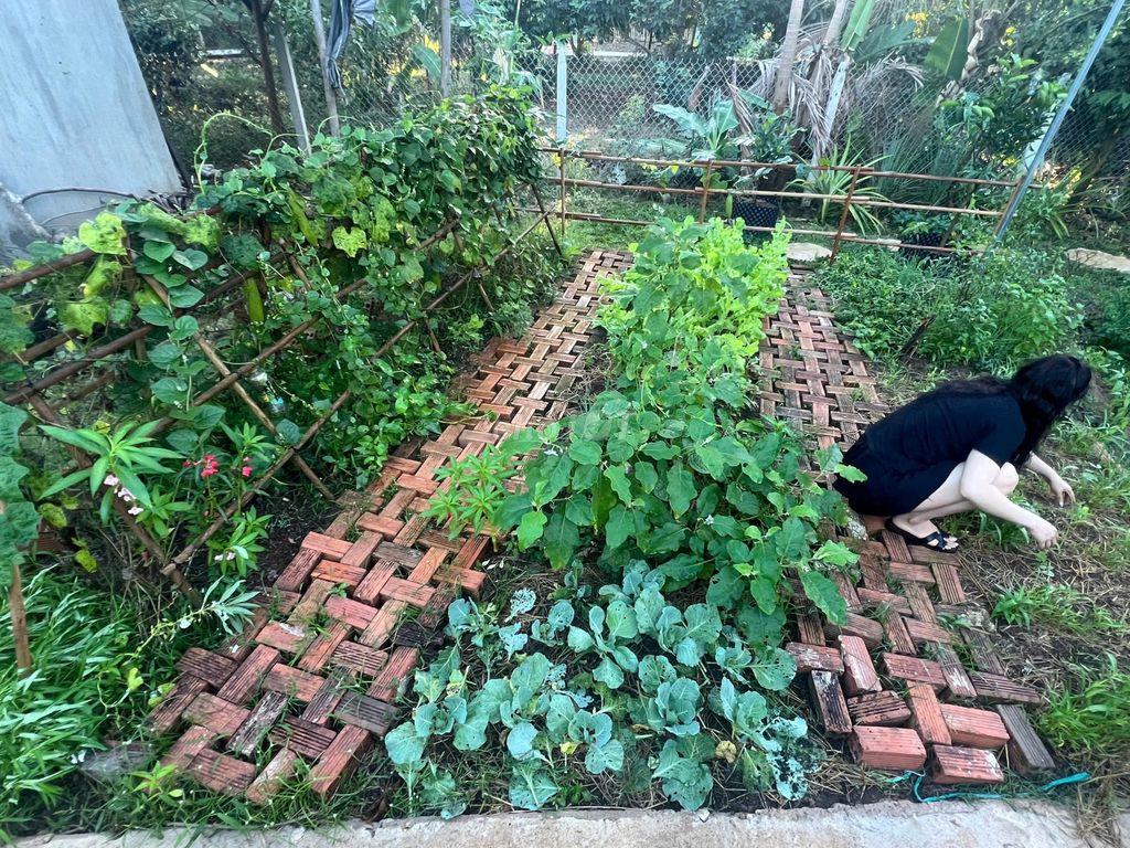 NHÀ VƯỜN NGHỈ DƯỠNG