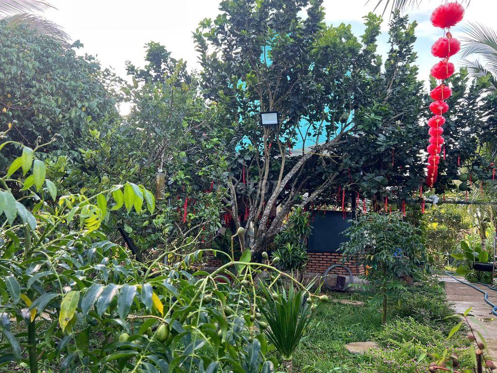 NHÀ VƯỜN NGHỈ DƯỠNG