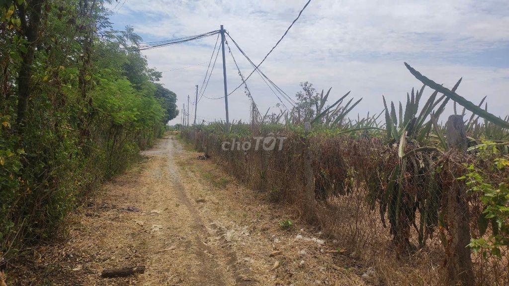 ĐẤT VƯỜN XUÂN PHÚ