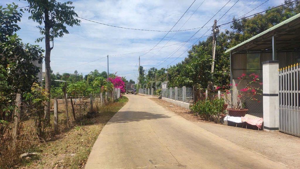 ĐẤT VƯỜN XUÂN PHÚ