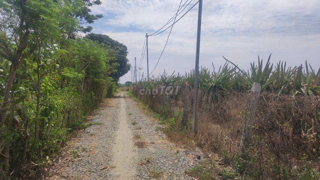 ĐẤT VƯỜN XUÂN PHÚ