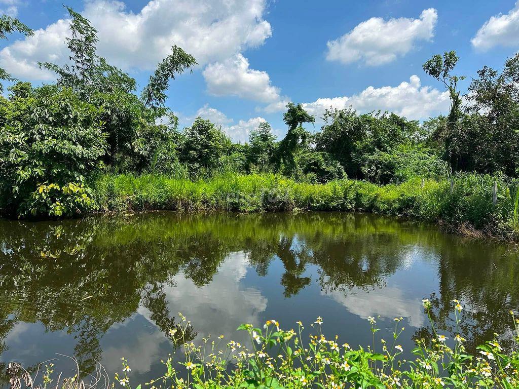 ĐẤT VƯỜN XUÂN ĐỊNH