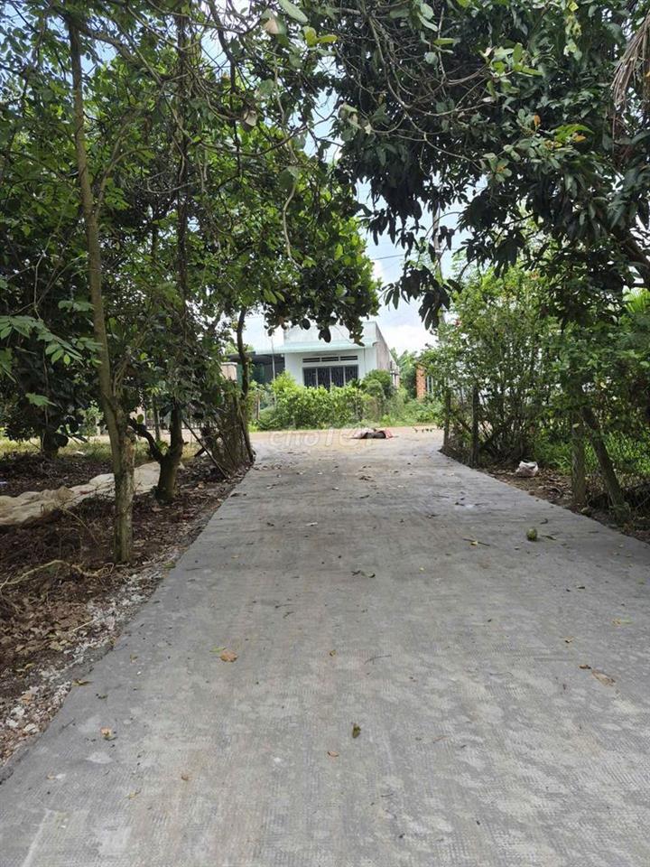 ĐẤT VƯỜN BÌNH LỘC GIÁ RẼ