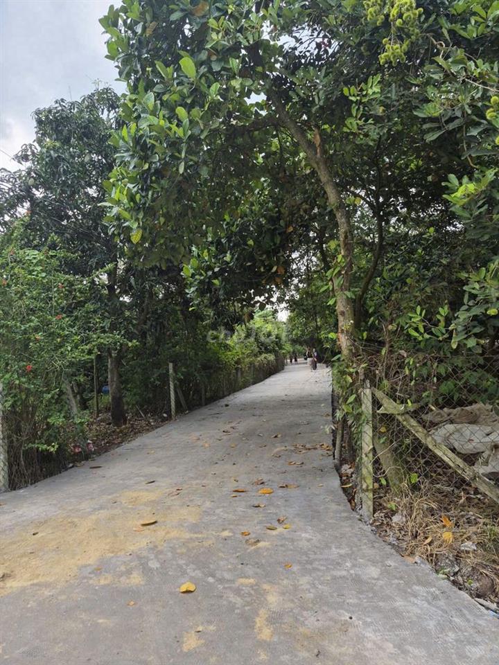 ĐẤT VƯỜN BÌNH LỘC GIÁ RẼ