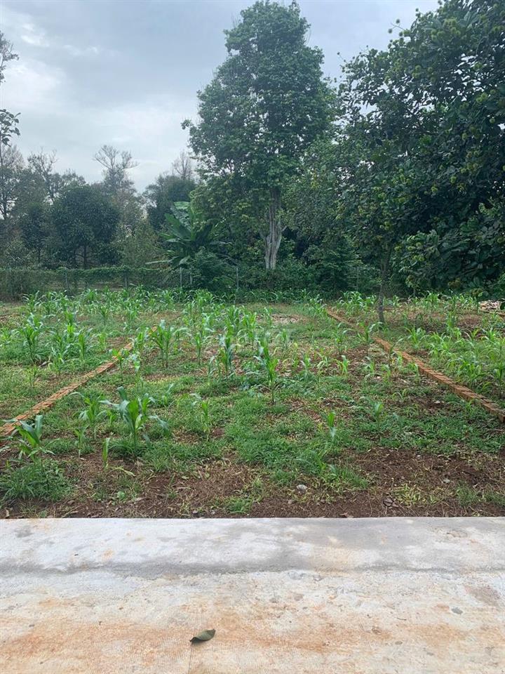 ĐẤT NỀN NGAY KHU CÔNG NGHIỆP LONG KHÁNH