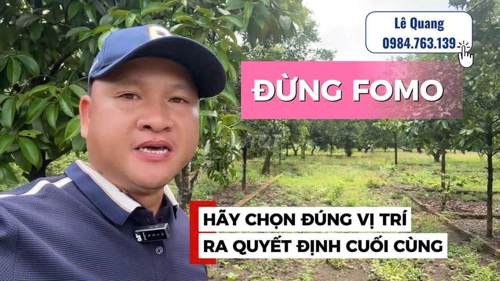 ĐẤT NỀN - NHÀ PHỐ