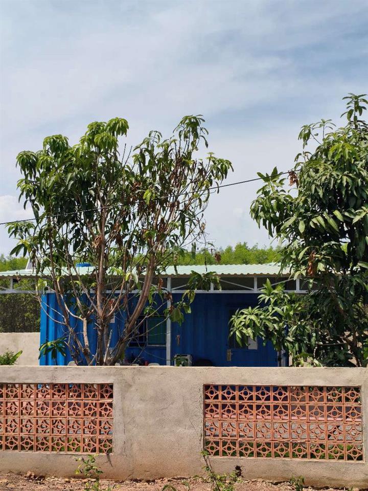 Hàng Ngộp! 400m2 đất đô thị TT Vĩnh An chỉ 200 Triệu, Nay Phường TrịAn