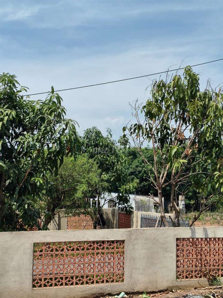 Hàng Ngộp! 400m2 đất đô thị TT Vĩnh An chỉ 200 Triệu, Nay Phường TrịAn