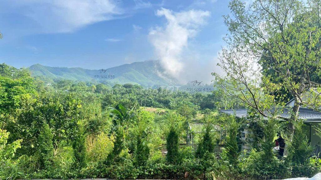 🌿🚀 HÀNG HIẾM ĐẤT VIEW HỒ TRỊ AN & THUNG LŨNG – 1500m² GIÁ 950 TRIỆU 🚀