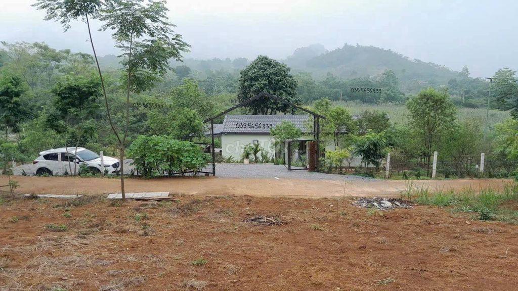 🌿🚀 HÀNG HIẾM ĐẤT VIEW HỒ TRỊ AN & THUNG LŨNG – 1500m² GIÁ 950 TRIỆU 🚀