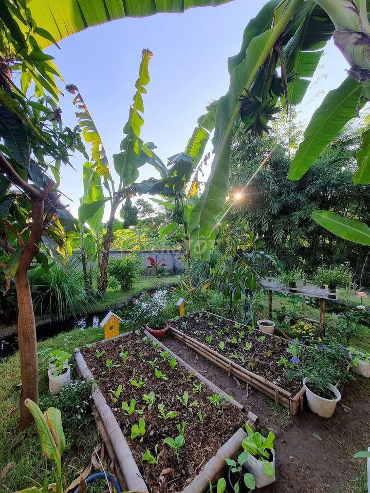 🌿 ĐẤT VƯỜN VIEW HỒ TRỊ AN – KHÔNG GIAN YÊN BÌNH, GIÁ CHỈ 999 TRIỆU/SÀO