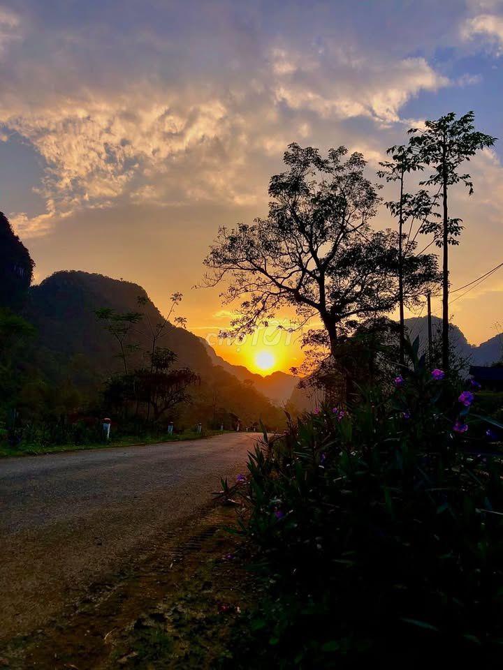 🌿 ĐẤT VƯỜN VIEW HỒ TRỊ AN – KHÔNG GIAN YÊN BÌNH, GIÁ CHỈ 999 TRIỆU/SÀO