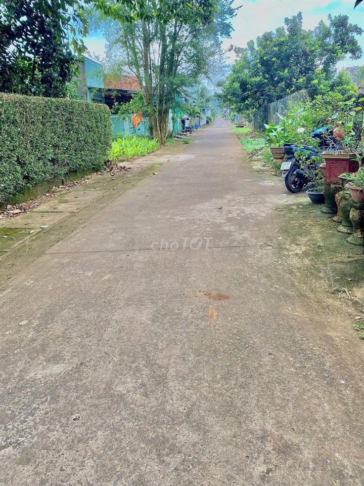 ‼️ 6TR/M² – ĐÓN SÓNG TP TRUNG ƯƠNG, PHƯỜNG DẦU GIÂY ‼️