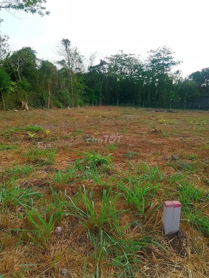 ‼️ 6TR/M² – ĐÓN SÓNG TP TRUNG ƯƠNG, PHƯỜNG DẦU GIÂY ‼️