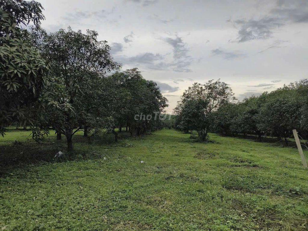🍃 CHỈ 520TR CÓ Ngày 1000m2 vườn TẬN HƯỞNG Không Gian Yên Bình Gần Sông