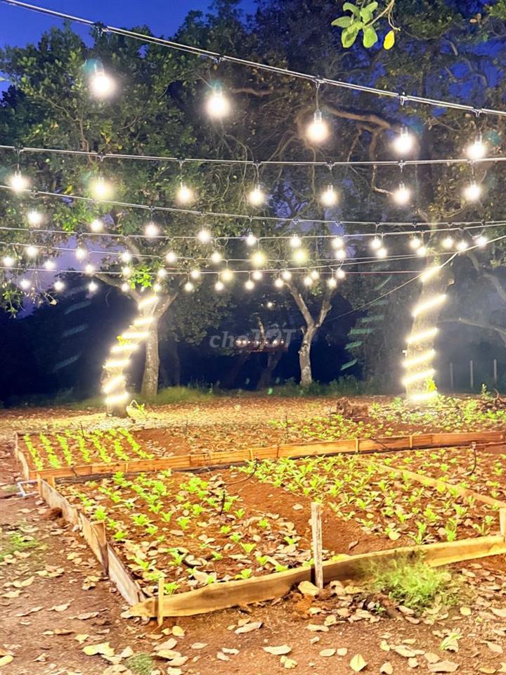 🌿 Chạm thiên nhiên Hồ Trị An – 1150m² Đất View Hồ, Giá Chỉ 499 Triệu