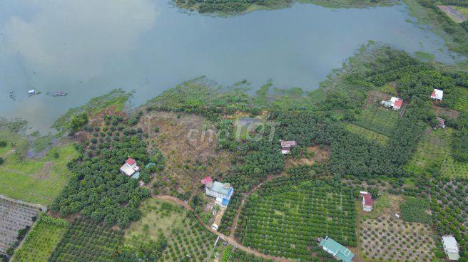 🌿 Chạm thiên nhiên Hồ Trị An – 1150m² Đất View Hồ, Giá Chỉ 499 Triệu