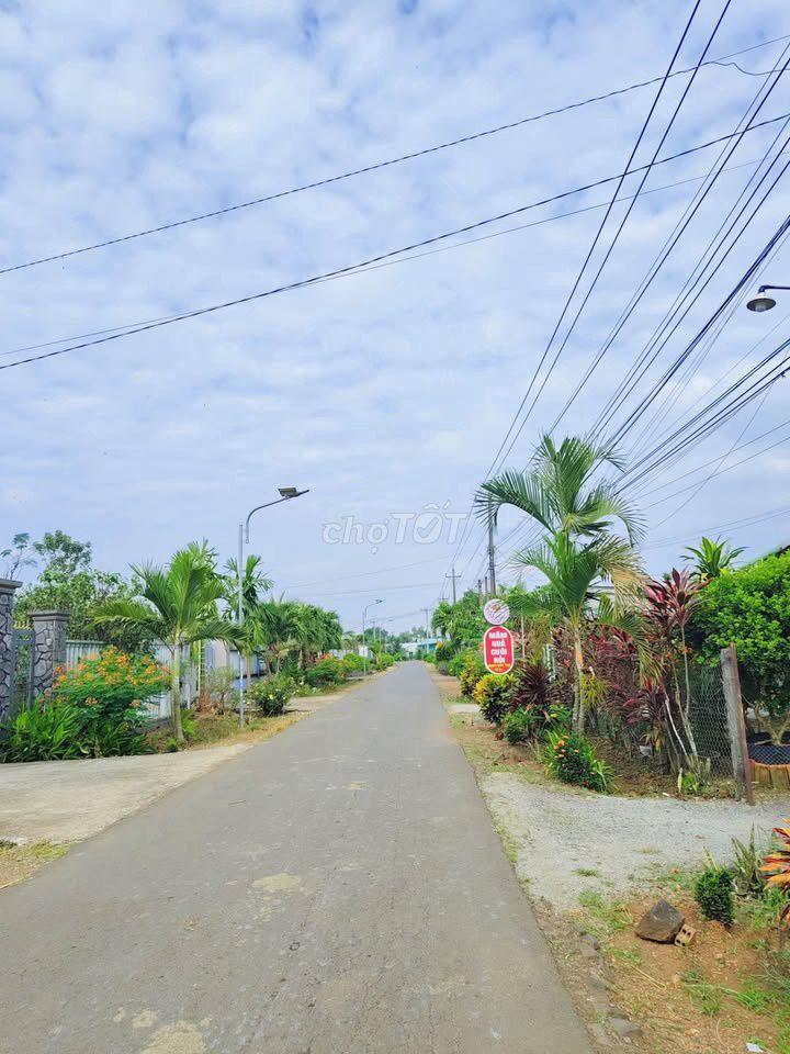 🔥 220 TRIỆU – HƠN 500m² nay 1 XẸT ĐƯỜNG NHỰA ĐOÀN THỊ ĐIỂM, TRỊ AN 🔥