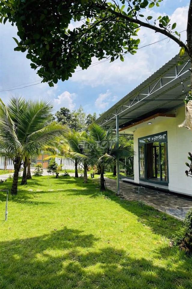 🌿 Vườn sinh thái Trung tâm Phường Dầu Giây 1,3 Tỷ ĐƯỢC 1090m2 cực đẹp!