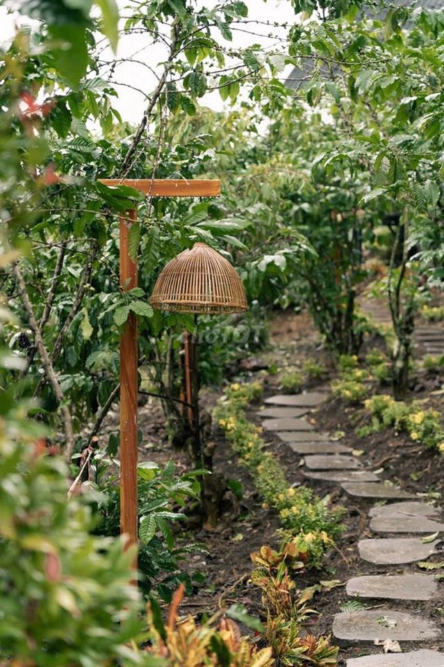 🌿 CHỈ 900 Triệu có ngay 1000m² Đất Đồi Đẹp La Ngà Gần Hồ Trị An, QL20