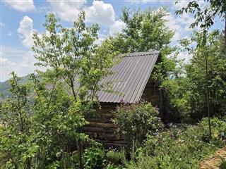 Một vườn đồi 1200m² yên bình ở Đồng Nai, nơi “hương mùa vương áo" 🌿