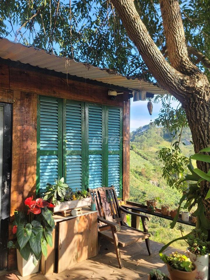 Một vườn đồi 1200m² yên bình ở Đồng Nai, nơi “hương mùa vương áo" 🌿