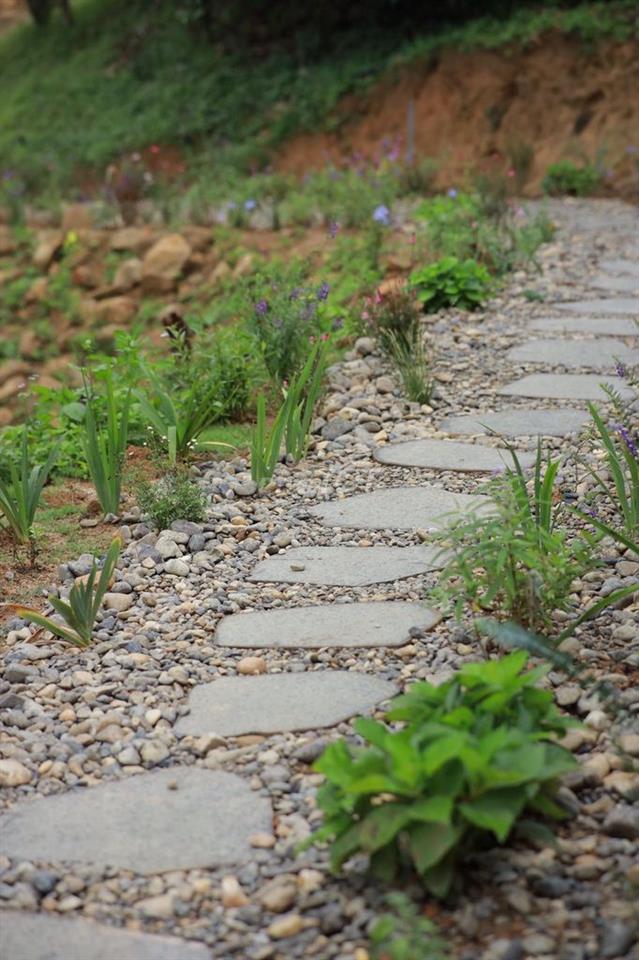 Một vườn đồi 1200m² yên bình ở Đồng Nai, nơi “hương mùa vương áo" 🌿
