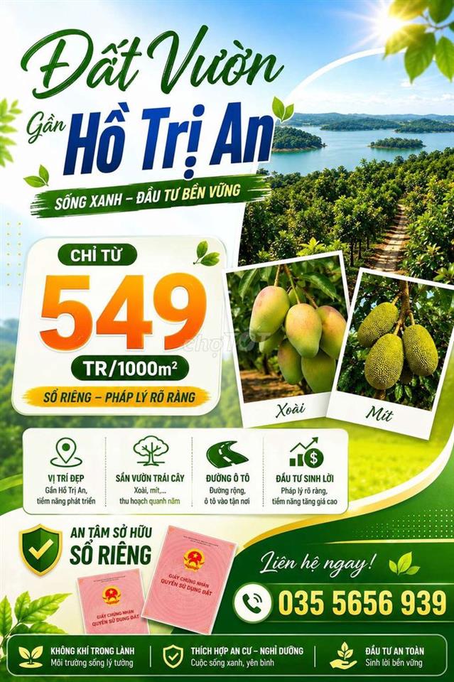 🌿 Đất Vườn Ven Sông La Ngà 1.00m² - Chỉ 549 Triệu, Có Sẵn Vườn Xoài