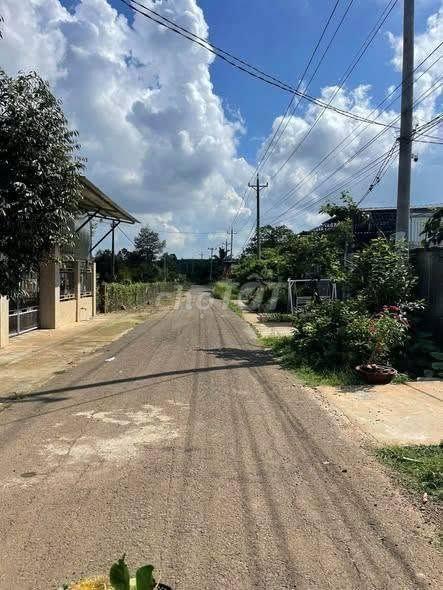 🌳BÁN GẤP VƯỜN CHÔM CHÔM NGON GẦN NGÃ TƯ DẦU GIÂY – GIÁ CHỈ 1,2 TỶ/SÀO🍃