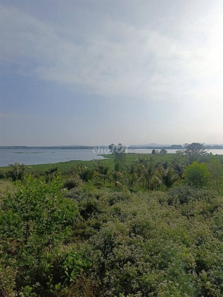 🌊 ĐẤT MẶT HỒ TRỊ AN có 100m2 THỔ CƯ – Hàng Hiếm CHỈ 1,99 TỶ/ 2100m2