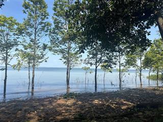🌊 ĐẤT MẶT HỒ TRỊ AN có 100m2 THỔ CƯ – Hàng Hiếm CHỈ 1,99 TỶ/ 2100m2