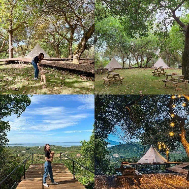 🌿CHỈ 995 TRIỆU/1100m² VƯỜN CỔ THỤ ĐẤT BAZAN, ÔM SUỐI - VIEW HỒ TRỊ AN