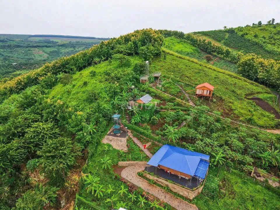 🌿 LA NGÀ – 1.200m² ĐẤT VƯỜN GẦN HỒ TRỊ AN, CHỈ 500 TRIỆU - HT BANK