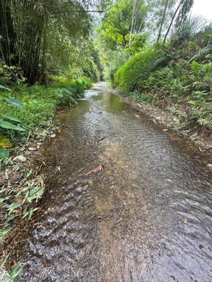 🌊 🌿Đất vườn gần Hồ Trị An 2.000m² – 990 triệu, nghỉ dưỡng lý tưởng🌿