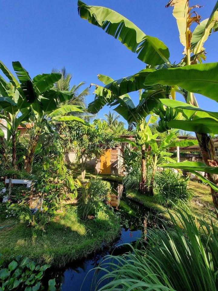 🌊 🌿Đất vườn gần Hồ Trị An 2.000m² – 990 triệu, nghỉ dưỡng lý tưởng🌿