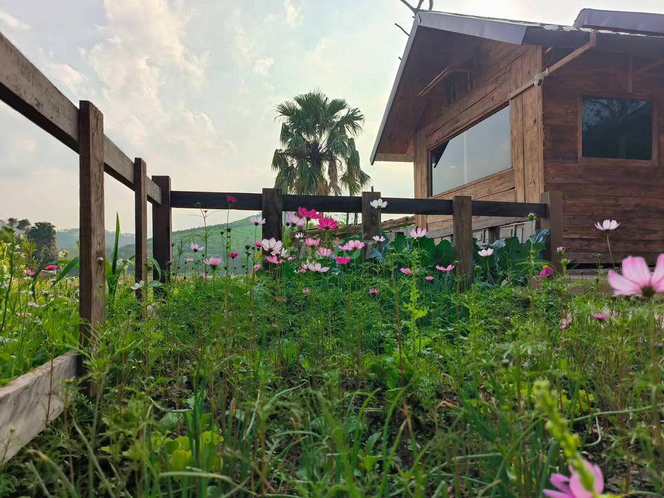 🌊 🌿Đất vườn gần Hồ Trị An 2.000m² – 990 triệu, nghỉ dưỡng lý tưởng🌿
