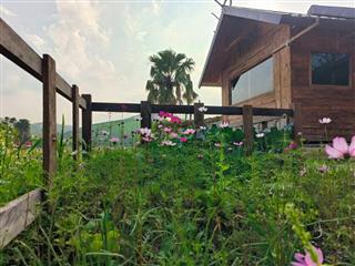 🌊 🌿Đất vườn gần Hồ Trị An 2.000m² – 990 triệu, nghỉ dưỡng lý tưởng🌿