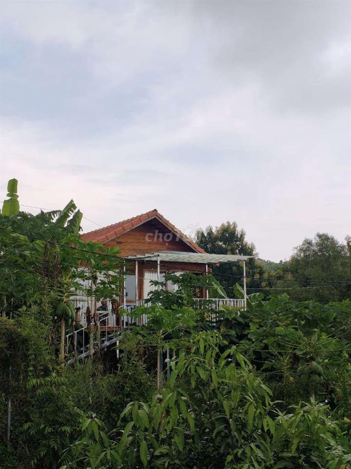 🌿BỎ PHỐ VỀ VƯỜN VIEW ĐẸP CHỈ TỪ 989 TR– CUỐI TUẦN CÓ 1 NƠI ĐỂ TRỞ VỀ