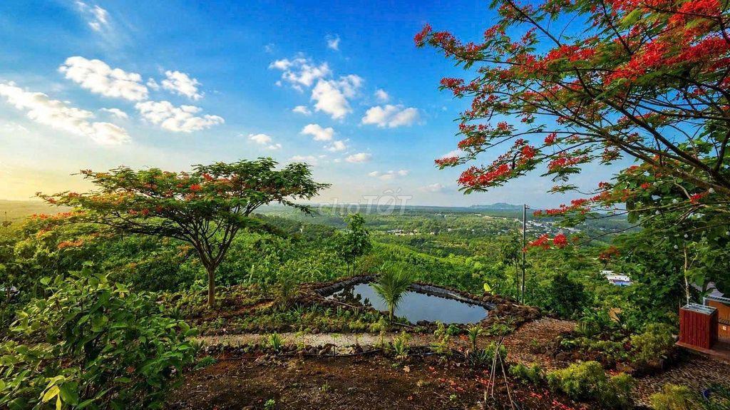 🌿BỎ PHỐ VỀ VƯỜN VIEW ĐẸP CHỈ TỪ 989 TR– CUỐI TUẦN CÓ 1 NƠI ĐỂ TRỞ VỀ