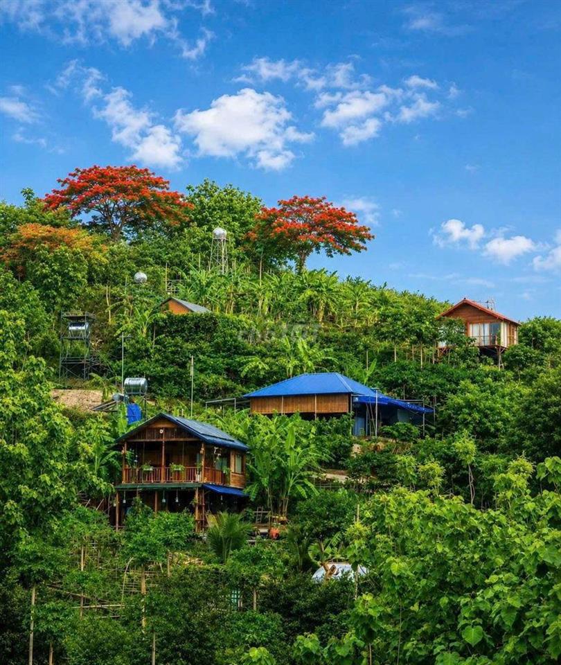🌿BỎ PHỐ VỀ VƯỜN VIEW ĐẸP CHỈ TỪ 989 TR– CUỐI TUẦN CÓ 1 NƠI ĐỂ TRỞ VỀ