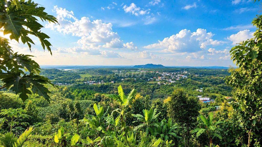 🌿BỎ PHỐ VỀ VƯỜN VIEW ĐẸP CHỈ TỪ 989 TR– CUỐI TUẦN CÓ 1 NƠI ĐỂ TRỞ VỀ
