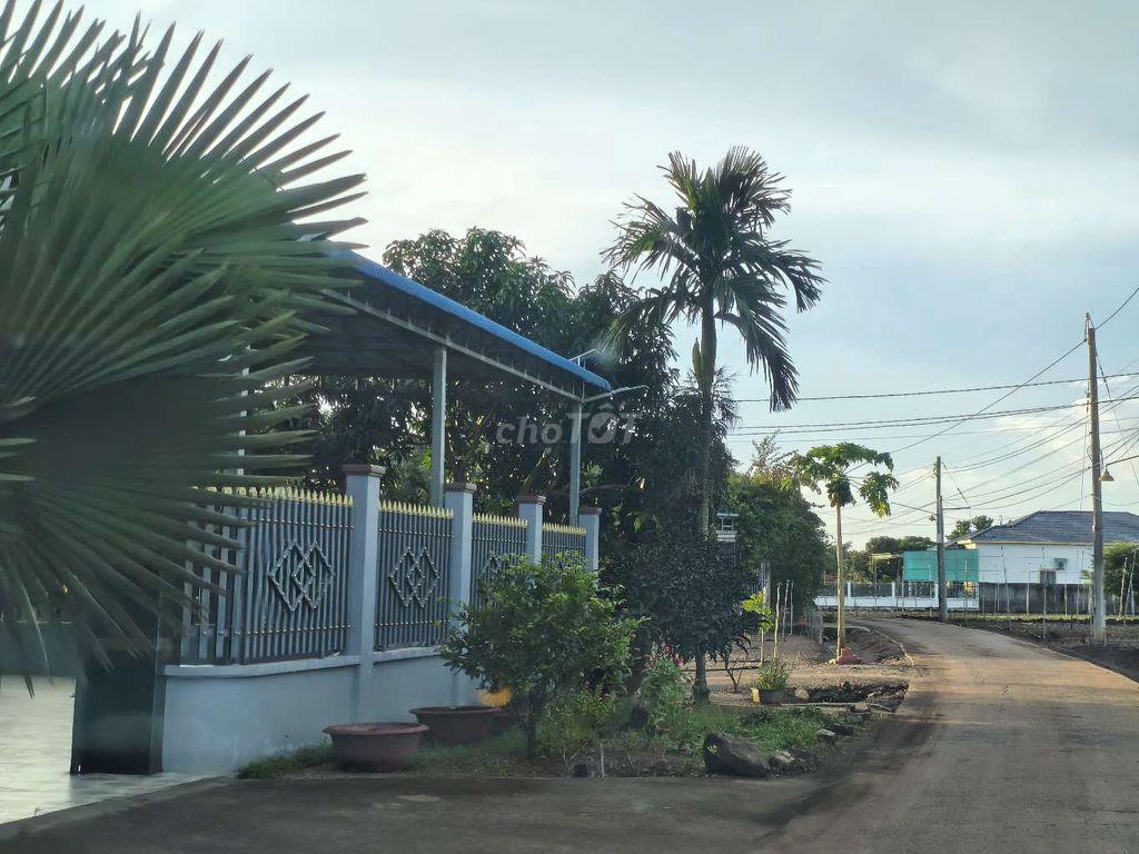 💥 BÁN GẤP ĐẤT 137M² – 539 TRIỆU | CÓ 115M² THỔ CƯ