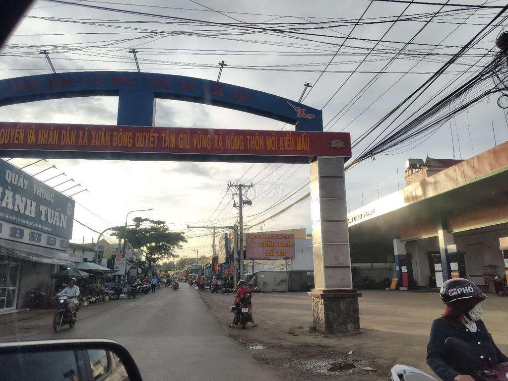 💥 BÁN GẤP ĐẤT 137M² – 539 TRIỆU | CÓ 115M² THỔ CƯ